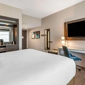 cambria-hotel-orlando-airport.davenporthotels.org/